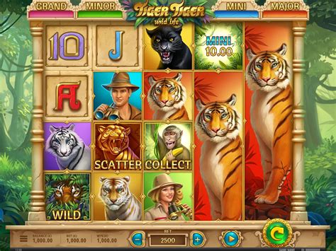 Slot Machine Designer service in USA .